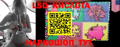 крисы Шахты