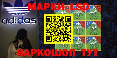 крисы Шахты