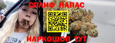 крисы Шахты