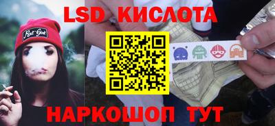 крисы Шахты