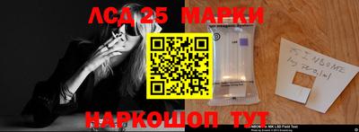 крисы Шахты